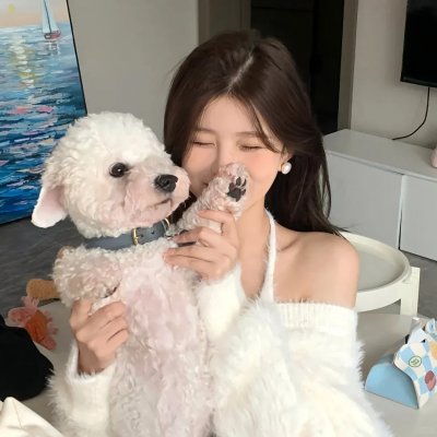 新罗曼蒂克